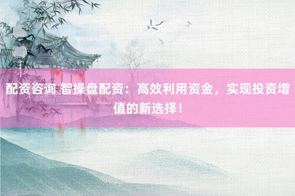 配资咨询 智操盘配资：高效利用资金，实现投资增值的新选择！