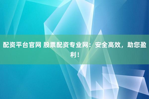 配资平台官网 股票配资专业网：安全高效，助您盈利！