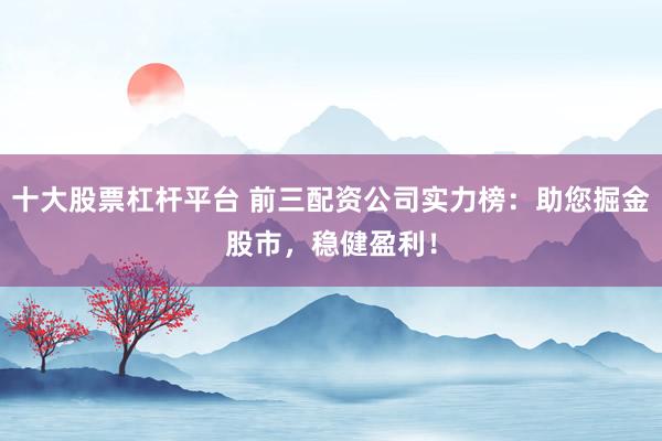 十大股票杠杆平台 前三配资公司实力榜：助您掘金股市，稳健盈利！