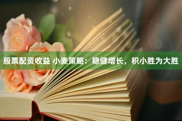 股票配资收益 小麦策略：稳健增长，积小胜为大胜