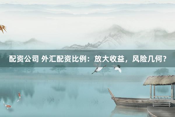 配资公司 外汇配资比例：放大收益，风险几何？