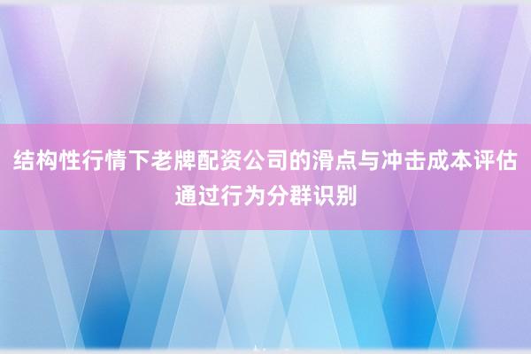 结构性行情下老牌配资公司的滑点与冲击成本评估通过行为分群识别