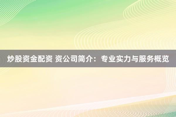 炒股资金配资 资公司简介:专业实力与服务概览