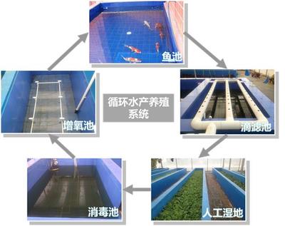 科技创新:微纳米气泡曝气技术的应用_科技_网