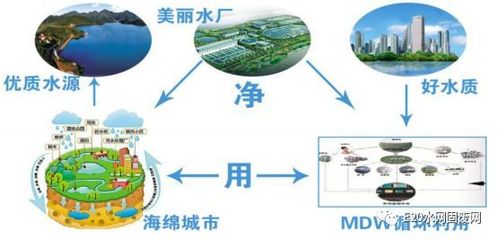 赵秀英:新时代下源洁水务的美丽水厂建设